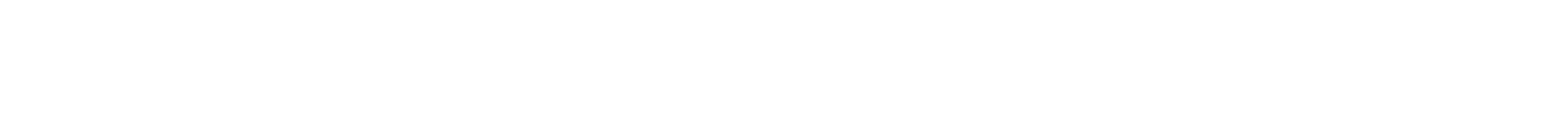 REMAX Model Logo